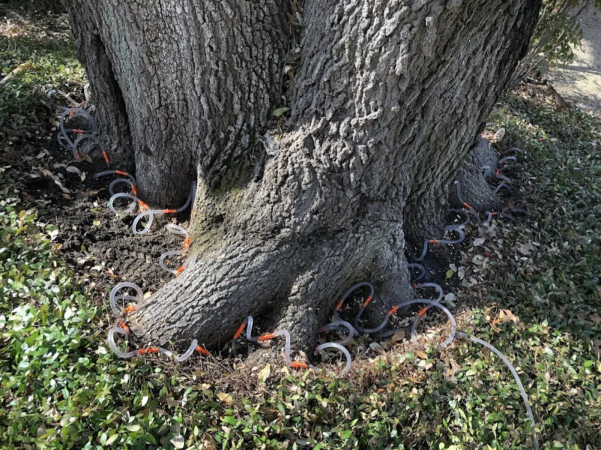 Detailed Shrub and Hedge Trimming job site in Deerfield